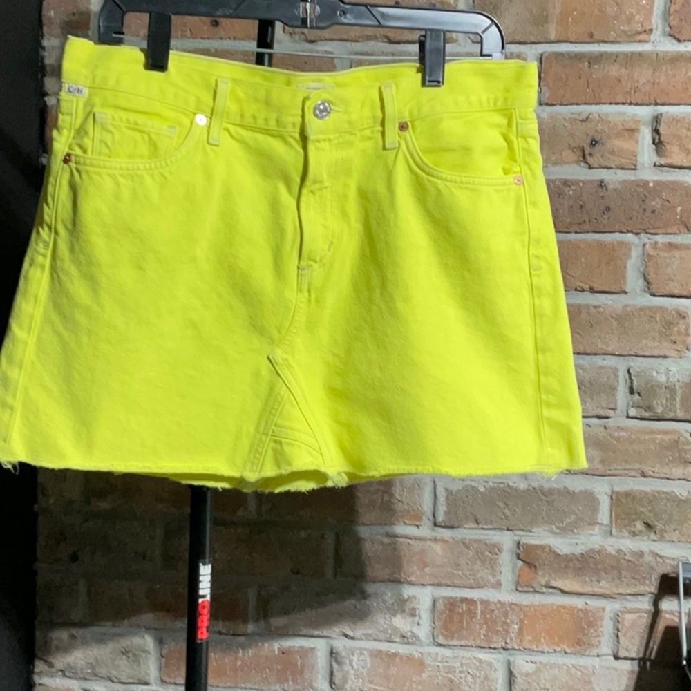 Citizen of Humanity Skirt